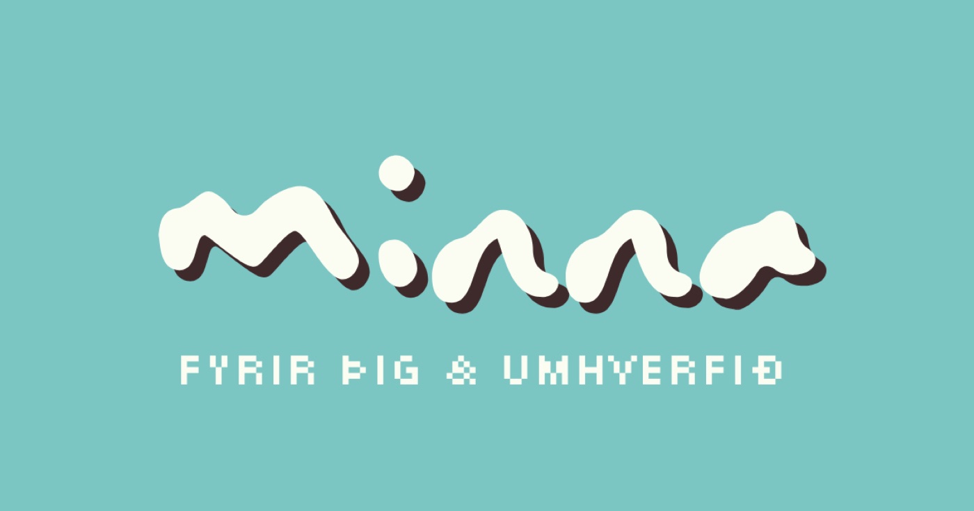 Skjáskot af minna.is